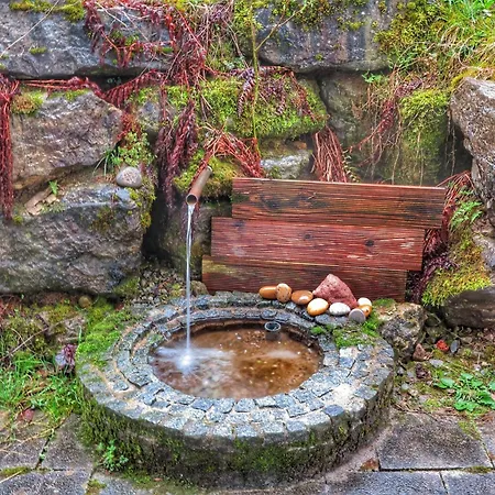 Kleine Kinzig: Idyllisch | Sauna | Hot Tub | Kamin Ferienhaus